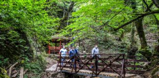 Изградена патеката до третиот водопад кај Габрово каде има и пештера a просторот уреден со мостови и летниковци (видео)