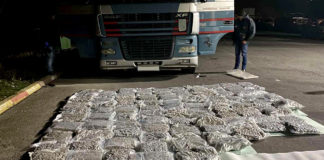 На граничниот премин Ново Село откриени и запленети околу 100 кг марихуана (видео)