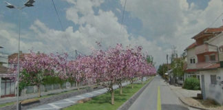 Струмичка фирма ќе го работи поројот на Крушевска кој за 578 илјади евра ќе стане шеталиште