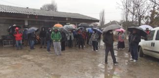 Не го даваме тутунот за џабе, тутунарите од струмичко Градашорци протестира и најавија блокирање на пунктовите