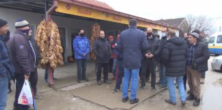 ТК Прилеп договорениот тутун на Далија од струмичките тутунари ќе го откупува од вторник во радовишко