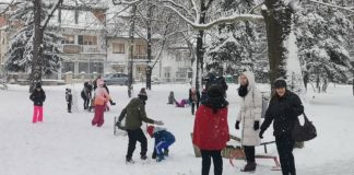 Снегот го наполни паркот во Струмица, голем број граѓани уживаа во зимската идила (фото)