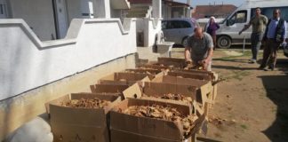 Тутунарите не прифаќаат пониска цена од 600 денари за килограм тутун – пунктовите отворени но родот не се носи