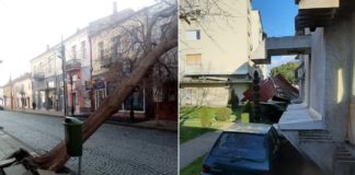 Силниот ветар корнеше дрвја во Гевгелија и предизвика штети, надлежните интервенираат