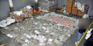 На ГП Богородица и кај Селемли запленети над половина тон марихуана, приведени три лица