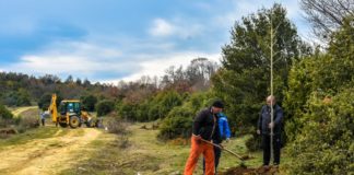 1000 јавори ќе бидат засадени на Чам Чифлик над Струмица, Комуналец ја почна акцијата (фото)