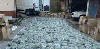 Во разбиената група нарко дилери, МВР приведе и струмичанец кој бил на бензинска кај Гевгелија