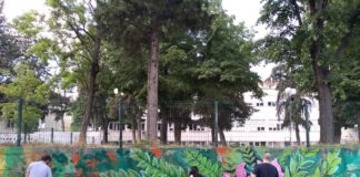 Богданци добива ѕиден мурал со растението ,,Меурест козинец’’ кој го има само во ова општина