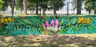 Меурестиот козинец доби мурал во Богданци, Полимат 13 планира да прави патеки до пределите со ова ендемично растение