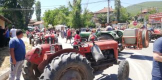 Крадци ни ги пустошат насадите со цреши, велат жителите на струмичко Вељуса кои со протест побараа заштита