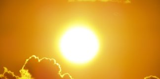 МТСП бара од работодавачите да ги ослободат од работни обврски најранливите групи, заради топлото време денеска и утре