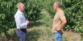 АФПЗРР го објави огласот за мерката Млад земјоделец за годинава и ќе дава поддршка до 10 илјади евра