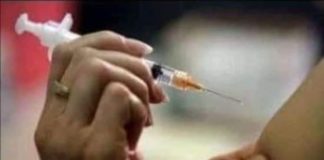 Ајнштајн не рекол дека некој е ,,стока” ако му е понудено нешто бесплатно