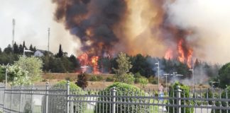 ЦРЈИПР имплементира проект ,,eFIDAR ” за рано откривање на шумските пожари преку ИКТ систем а ќе набавува и две возила