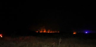 Воведена целосна забрана за движење во шумите