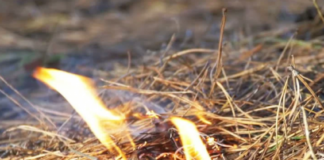 Приведено лице поради сомневање за предизвикување на пожарот во струмичко Дабиле