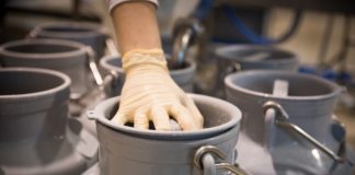 Исплатени 255,9 милиони денари за субвенции за произведено и предадено млеко и за женски приплодни маторици