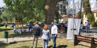 Младинска акција за разубавување на градски парк во Гевгелија