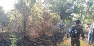 Дождот го стави под контрола а денеска целосно локализиран пожарот кај Нивичино на Готен