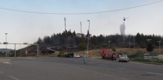 Пожарот кај Богородица ставен под контрола, граничниот премин отворен за сообраќај (фото)