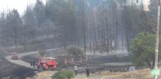 Пожарникарите од Струмица, Гевгелија, Радовиш и Валандово ќе добијат униформи и опрема за гасење шумски пожари