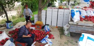 Пуштени субвенциите од три денари за градинари и овоштари кои производството го дале во преработувачки капацитети