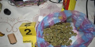 Приведен дилер од радовишко Подареш во неговиот дом пронајдена марихуана