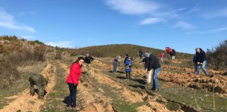 Пошумени 3 хектари над Радовиш со 6 000 садници обезбедени од граѓанско здружение Трибенкс (фото)