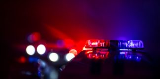 Кај Дојран откриени 42 мигранти, возачот скокнал и избегал од камионот кој удрил во службено возило на МВР