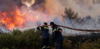 Приведен маж од радовишко затоа што подметнал пожари, пред полицијата ги признал делата