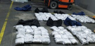 Царинската управа заплени 139 килограми марихуана на ГП Дојран