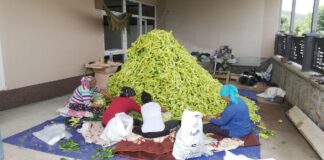 Земјоделците од денеска може да аплицираат за субвенциите за 2023 година по новиот модел !