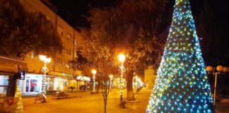 Гевгелија нема да распишува тендер, за Нова година ќе се украсува со елки и украси кои ги има општината