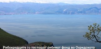 Рибокрадците го пустошат рибниот фонд во Охридското Езеро, ЕУ нотира низа слабости