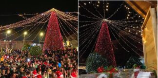 Во пресрет на празниците Радовиш стана ,,Светол град’’ за да радовишани споделуваат насмевки и радост