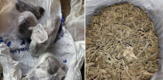 Претрес во струмичко Старо Балдовци – пронајдена дрога