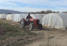 Кој сè градинари може да земаат субвенции годинава и колку ќе изнесуваат истите – што стои во новата Уредба !?