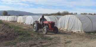 Кој сè градинари може да земаат субвенции годинава и колку ќе изнесуваат истите – што стои во новата Уредба !?