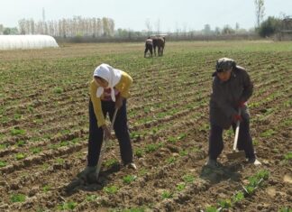 Нема точни податоци во каква кондиција е македонскиот аграр – пописот кој, колку и со што работи земјоделие, сeуште во најава