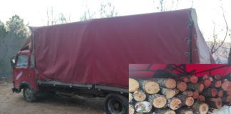 Фатени дрвокрадци на Беласица, полицијата најави кривични против жители на Банско и Свидовица