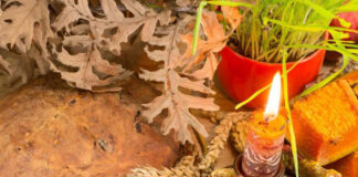 Обичаи за Бадник и Божиќ – ширете љубов и радост оти се празници на раѓањето на животот !