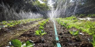 Продолжен рокот за пријавување за добивање поддршка за набавка на системи за наводнување