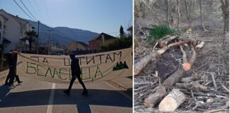 Најмалку 30 возила без регистрации ќе видите по Беласица и сечa кој каде ќе најде – протест во Колешино (ФОТО)