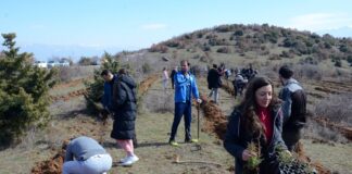 Градот заслужува да дише – Пошумени голите ридови над Струмица со над 1000 садници