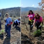 По повод 70 години постоење, ЗПСК Кожуф од Гевгелија посади 6 000 садници бор и багрем кај Ново Конско