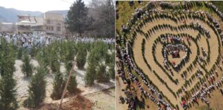 Струмица доби зелен лавиринт во форма на срце од 270 зимзелени дрвца на околу 600 м2 (ФОТО)