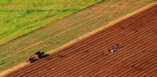 МЗШВ дава земјоделско земјиште под закуп кај Струмица, Валандово, Гевгелија, Богданци и Дојран – еве кои парцели и за која цена !