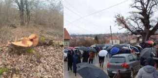 Да престане дивата сеча на дрва од планината Беласица порачаa од протестот во Колешино (фото)