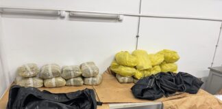 Приведени две лица од Гевгелија и Валандово – се обиделе да пренесат 16 кг марихуана во Грција