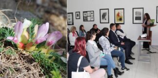 Во општина Богданци има природни реткости кои се од големо значење за националниот биодиверзитет – констатира Полимат 13